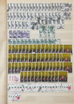 Papua New Guinea GVI/QE M&U Collection(Apx 500 Items) GM2789