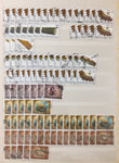 Papua New Guinea GVI/QE M&U Collection(Apx 500 Items) GM2789
