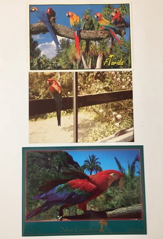 Birds Wildlife Covers Cards Pieces UK2255