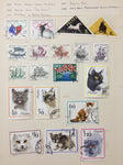 Poland 1919/70s M&U Starter Collection on Pages (Apx 350 Items) UK542